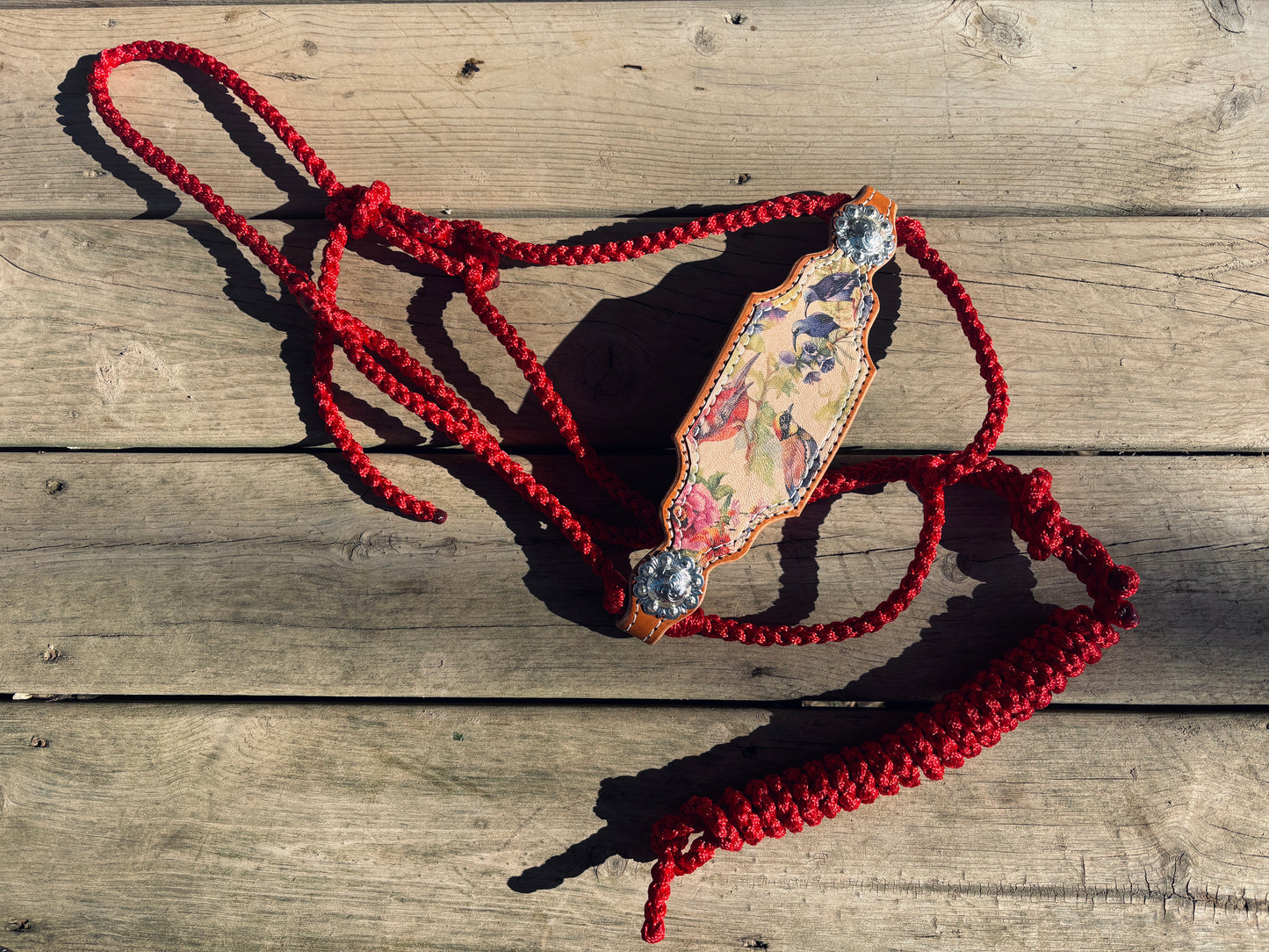 Bird Watcher Bronc Halter