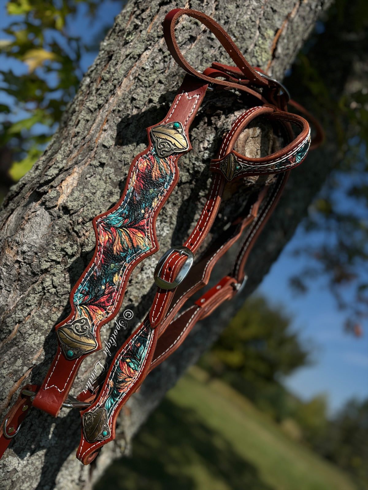 Phoenix Tack Set